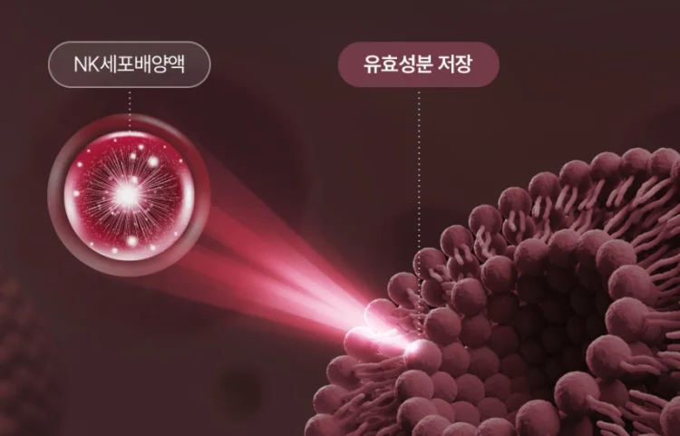 룰루뷰 NK세포 배양액 액티브 부스터